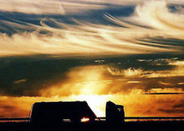 camionlandscape